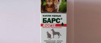 Bars Forte anti-otitis drops for cats