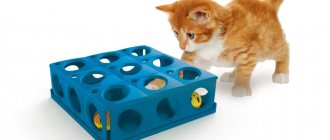 Georplast Tricky cat toy