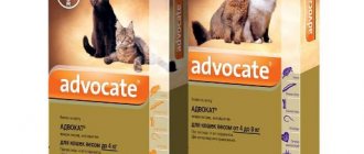 Drops for cats &quot;Advocate&quot;