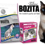 Bozita cat food