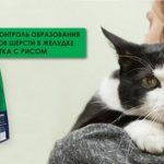 корм для котов с длинной шерстью