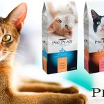 Корм Purina Pro Plan для котов и кошек