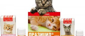 Празицид для кошек и котов