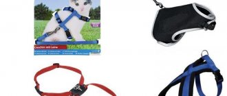 Types of harnesses for cats