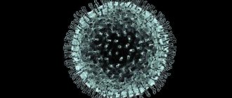 Virus